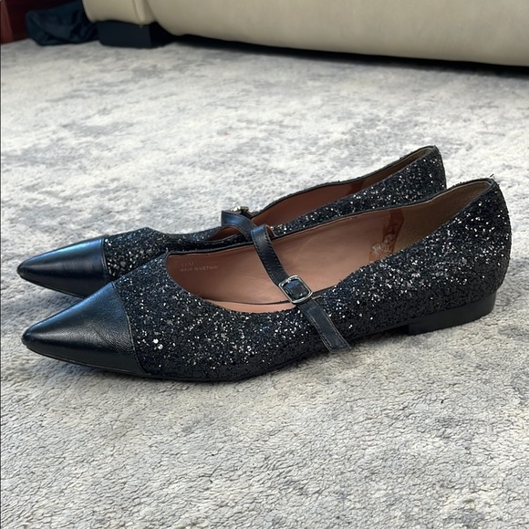 Linea Paolo Niara Glitter Flat Pointed Toe Mary Jane Black Sparkle Sz 11 - Picture 2 of 13